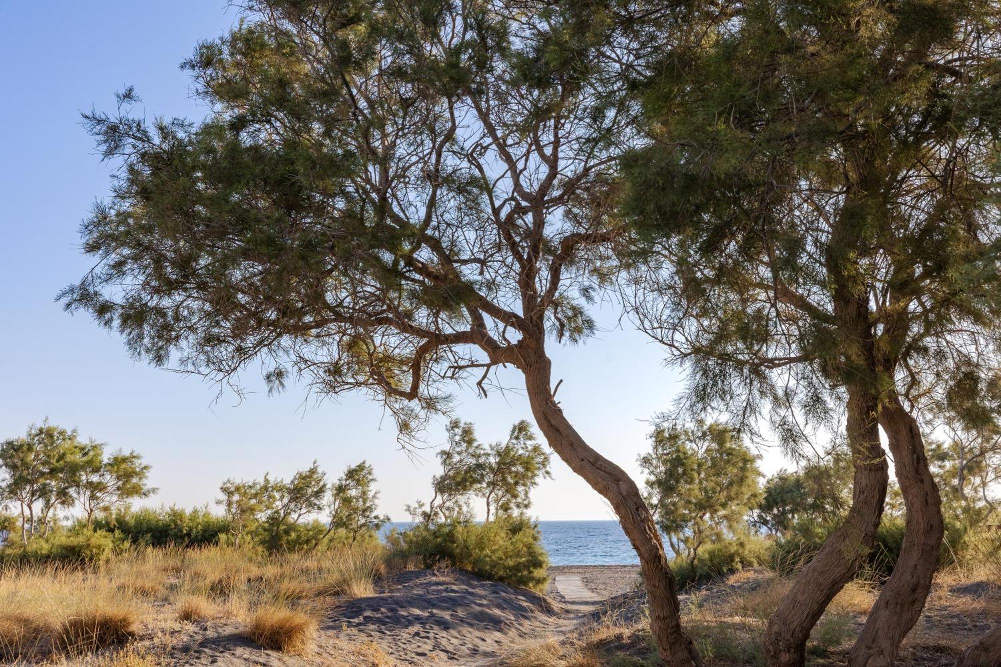 Scorpios Beach Μονόλιθος Εξωτερικό φωτογραφία